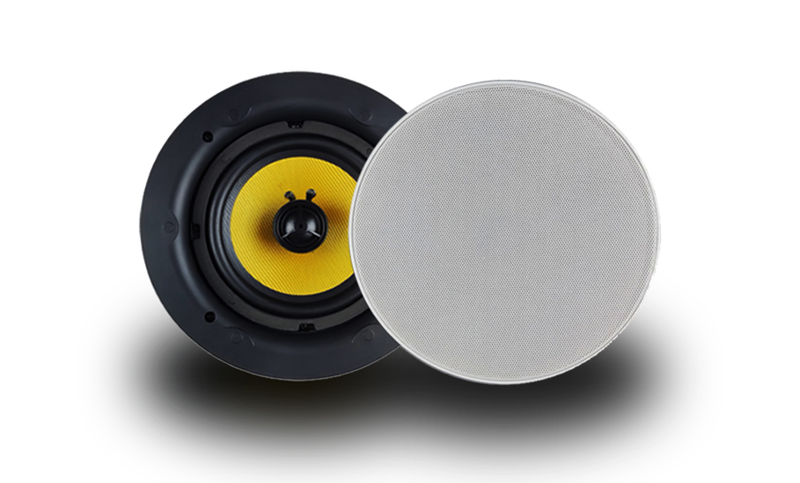 Ceiling Speaker 2